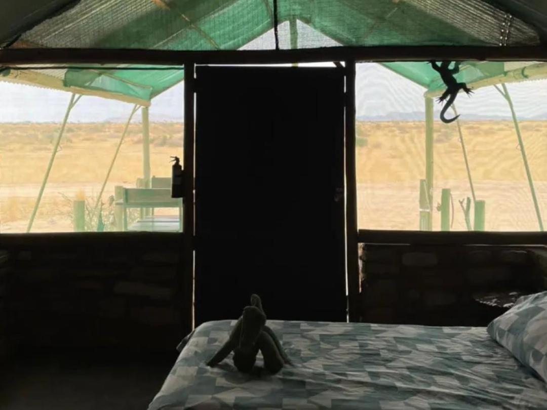 Camp Gecko - Private Nature Reserve; Tented Camp And Campsite 索利泰尔 外观 照片