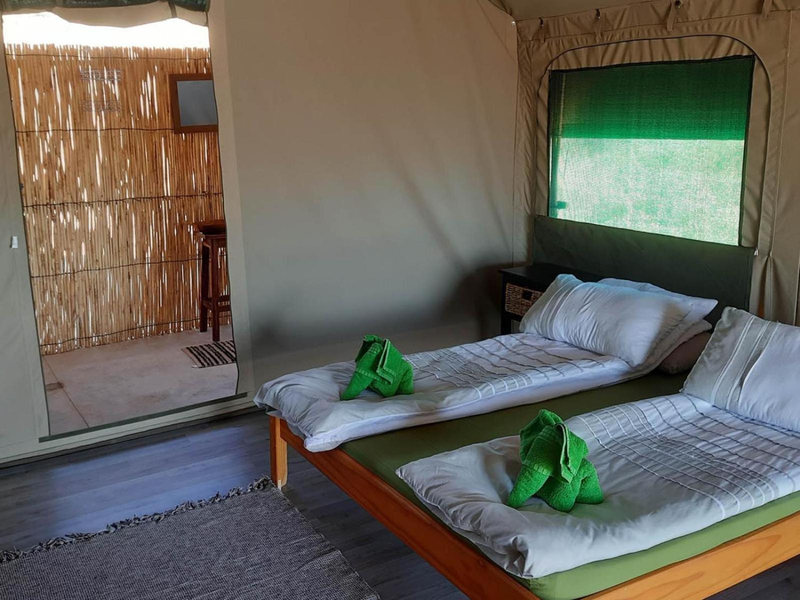 Camp Gecko - Private Nature Reserve; Tented Camp And Campsite 索利泰尔 外观 照片
