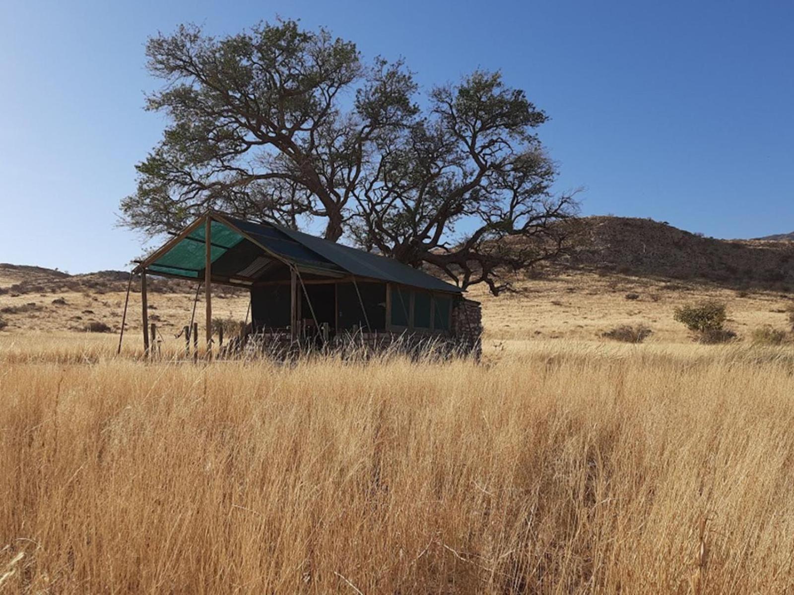 Camp Gecko - Private Nature Reserve; Tented Camp And Campsite 索利泰尔 外观 照片